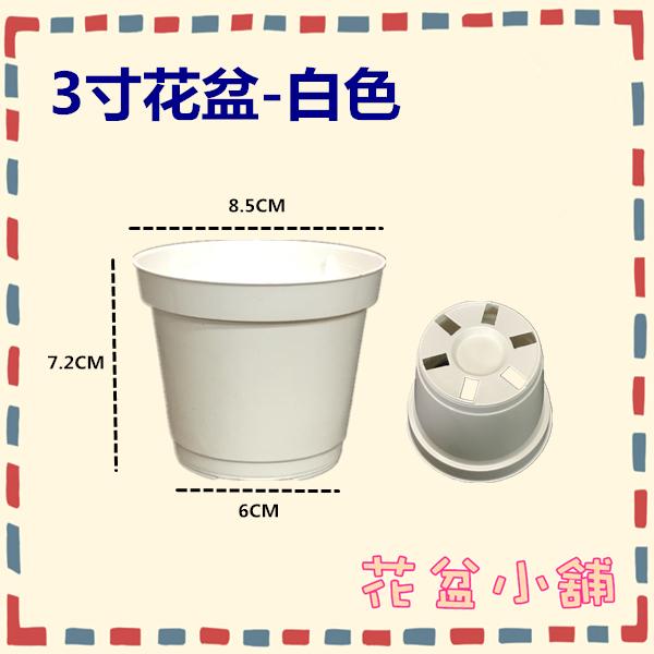 【花盆小舖】3寸花盆-白色 1個 栽培盆 塑膠花盆