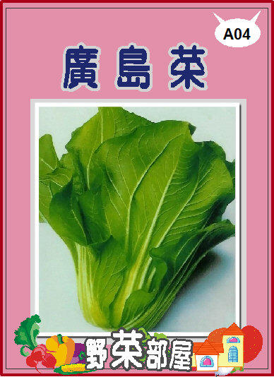 【野菜部屋~中包裝】A04 日本廣島菜種子35公克 , 日本名菜 , 每包180元~