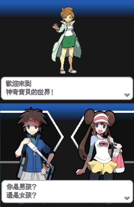 NDS 精靈寶可夢黑2 白2 神奇寶貝Pokemon Black and White 繁體中文版