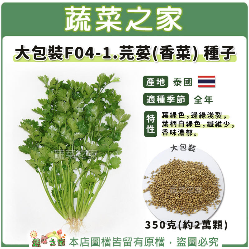 【蔬菜之家滿額免運00F04-1】大包裝.芫荽(香菜)種子350克(約2萬顆) // 葉綠色，邊緣淺裂，葉柄白綠