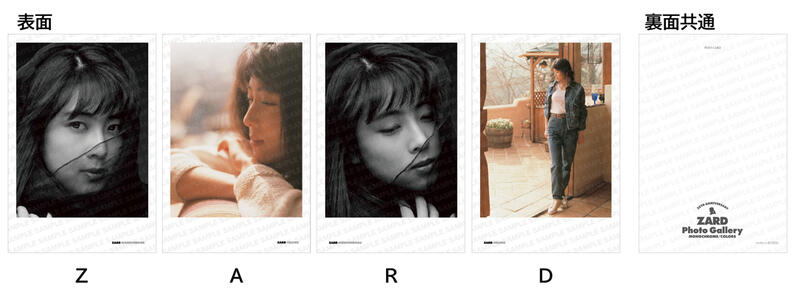 ZARD 2冊セット 定期購読 本 モノクローム COLORS 坂井泉水 ZARD