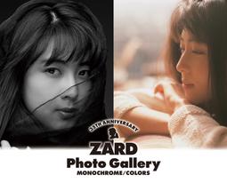 ZARD 2冊セット　定期購読　本　モノクローム　COLORS　坂井泉水 ZARD 35周年記念写真集『ZARD - MONOCHROME -／- COLORS -』2025