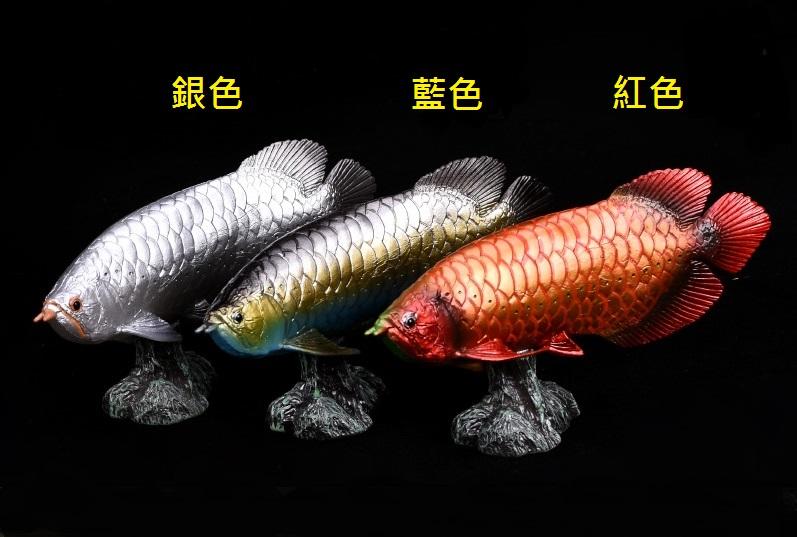 動物模型   紅龍魚 金龍魚 龍吐珠 風水魚
