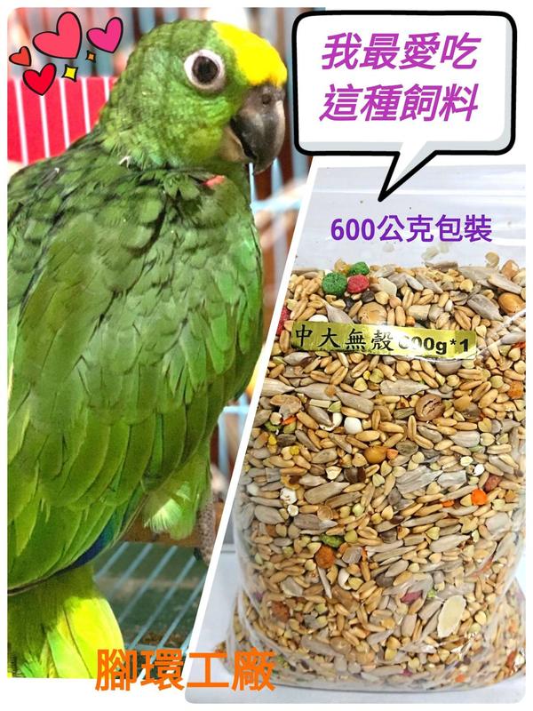 中大型無殼鸚鵡飼料-鳥寶最愛吃~ ❤新鮮天然穀物(600公克)小包裝 ，不囤積，好新鮮!