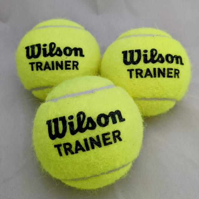 【威盛國際】WILSON 網球 Trainer 練習球 最暢銷練習球 初學 社團適用