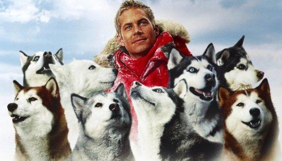 【妖精小舖】 ”極地長征” DVD 保羅沃克 南極探險 哈士奇 極地雪橇犬 華特迪士尼 WALT DISNEY出版