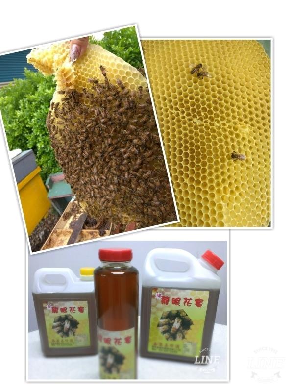 小農聯盟~來自雲林 蜂農自產 百分百 純蜂蜜 龍眼花蜜 百花蜜
