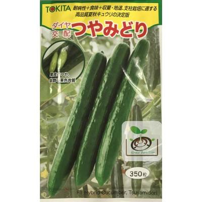 [禾康肥料] 日本小黃瓜(豔綠)種子 / 20粒裝