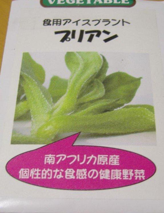 {農業屋 } 日本冰花 ，種子 50粒 10元(與K001日本冰花相同物，皆為夾鏈袋分裝包)