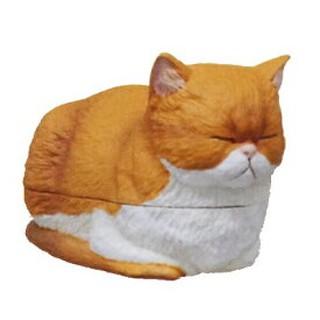 【QQ公仔物語】【NA242】【現貨滿千免運】香箱座姿貓小物盒 貓盒 扭蛋 單賣 白橘貓款 日版