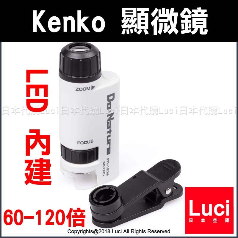 Kenko 顯微鏡 Nature 60-120倍 LED 內建 携帶型 STV-120M 可調焦 附手機夾 日本代購