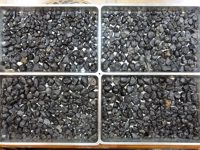 §能量礦石§ 菲律賓隕石RIZALITE Tektite泰國隕石玻璃隕石碎石500克為單位-1