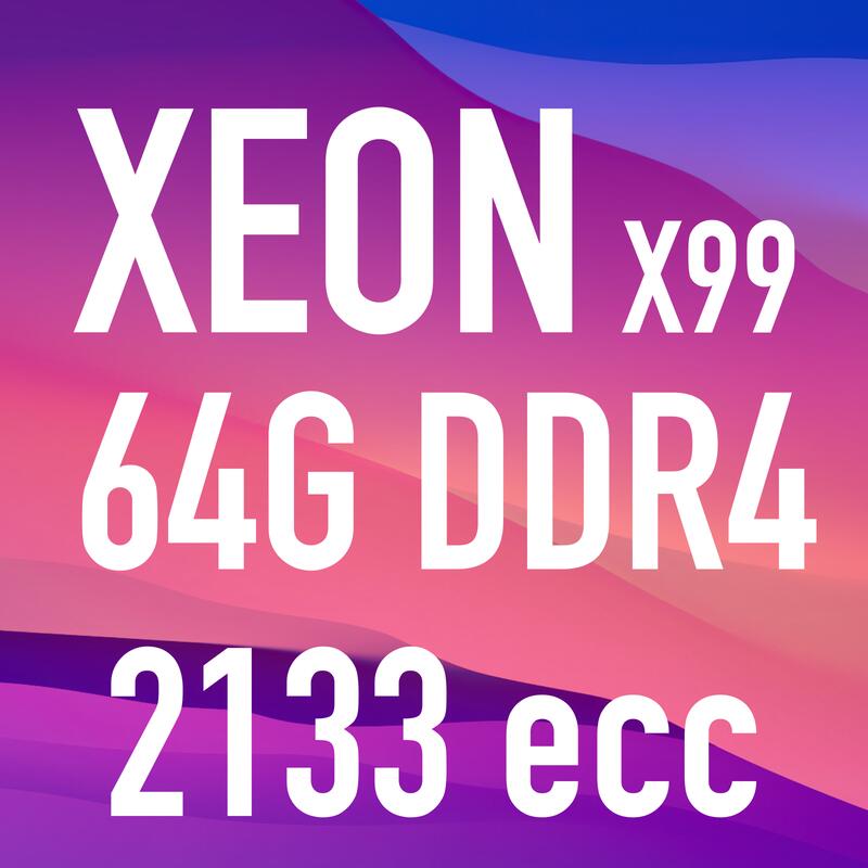 Sk Hynix  64G DDR4 2133 (1066Mhz) ECC  伺服器用記憶體