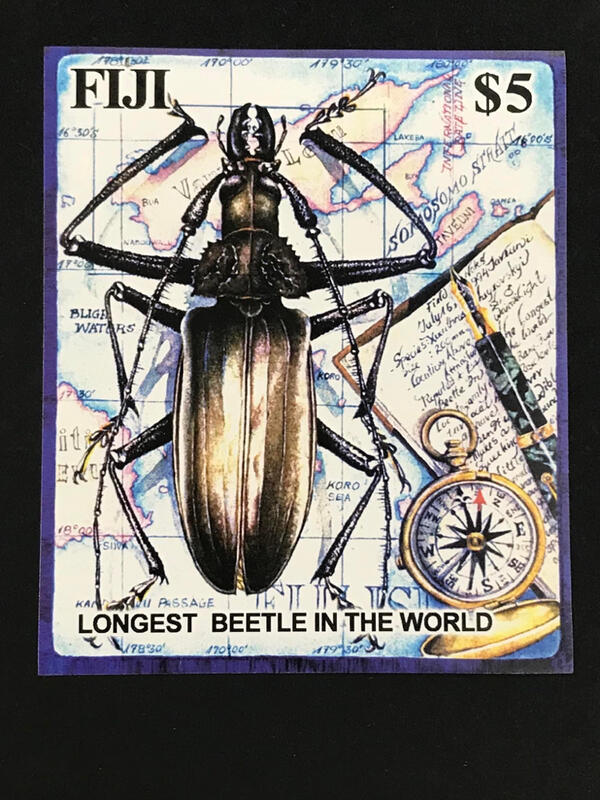 2004.02.27 斐濟 世界最大的甲蟲泰坦甲蟲 無齒小型張1全 120元