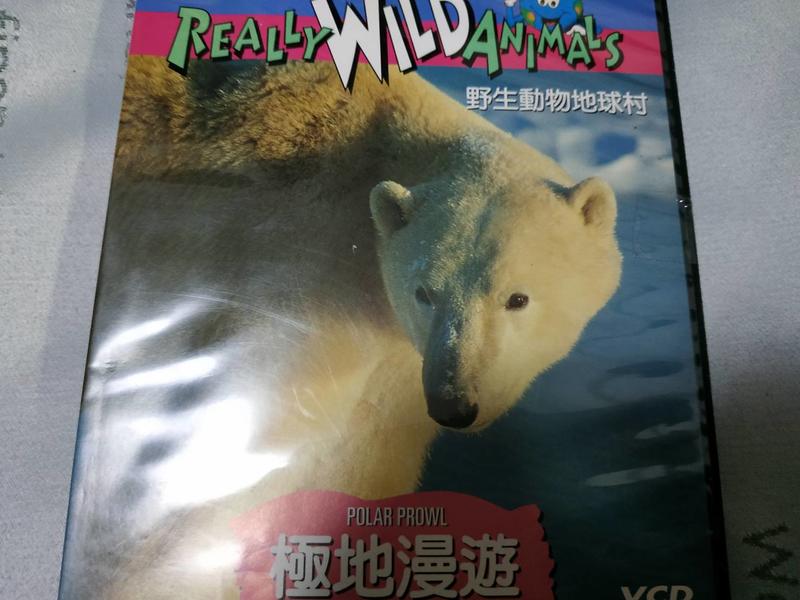 只此一片 國家地理頻道 極地漫遊 野生動物地球村 DVD