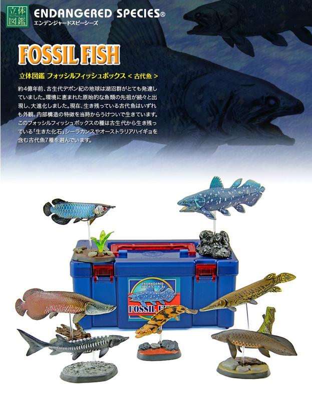 [玩具DNA] COLORATA 活化石古代魚(全套7款) 龍魚 象魚 鱷魚火箭 恐龍王 澳洲肺魚 腔棘魚 中華鱘