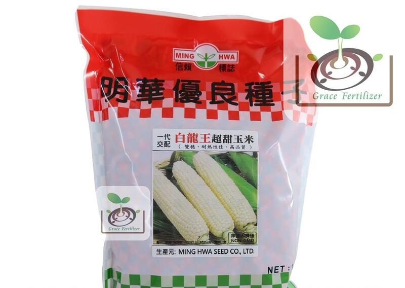 [禾康肥料] 白龍王超甜玉米種子/453g(一磅)包裝***缺貨中***