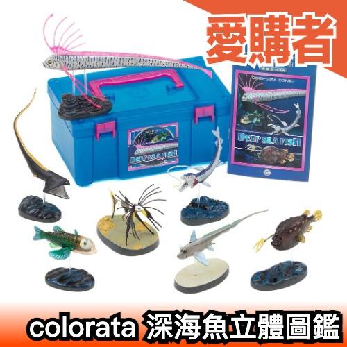 日本 Colorata 深海魚立體圖鑑 魚類愛好 地震魚 擬真模型 盒玩 玩具 考古生物科學 益智 生物模型【愛購者】