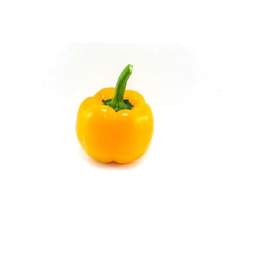 迷你黃甜椒種子~果實約3cm，株高50cm，多產品種，觀賞&食用皆宜