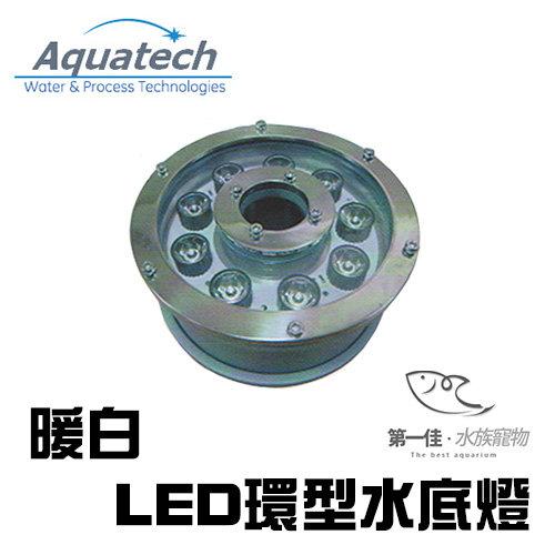 [第一佳水族寵物]台灣長江LED環形水底燈暖白1Wx12顆LED燈顆粒照明噴泉用
