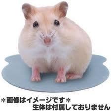 《蕞爾貓雜貨舖》日本GEX 愛鼠透氣涼爽墊ab-183~12.5*0.7*17~每墊120元~