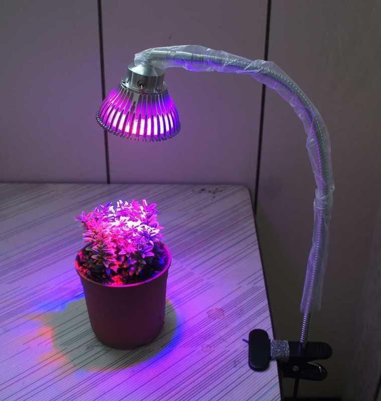 【光力能LED植物燈坊】PAR燈 13W聚光型4紅2藍多功能軟管夾子燈 多肉/長葉植物LED植物生長補光燈