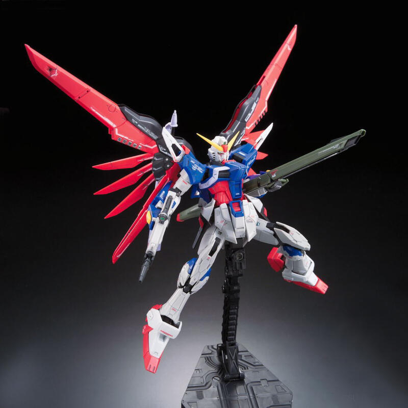 【鋼普拉】現貨 BANDAI 機動戰士 鋼彈SEED RG 1/144 #11 DESTINY GUNDAM 命運鋼彈