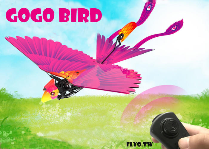 【飛歐FlyO】公園遛狗GoGoBird出頭鳥遙控飛行鳥【雙電版】科技鳥，【避障/定高】仿生鳥遙控飛機/機器人/機械蜂鳥