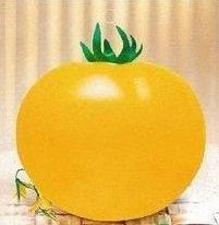 【媽咪蔬果園】　黃甜橙蕃茄   種子