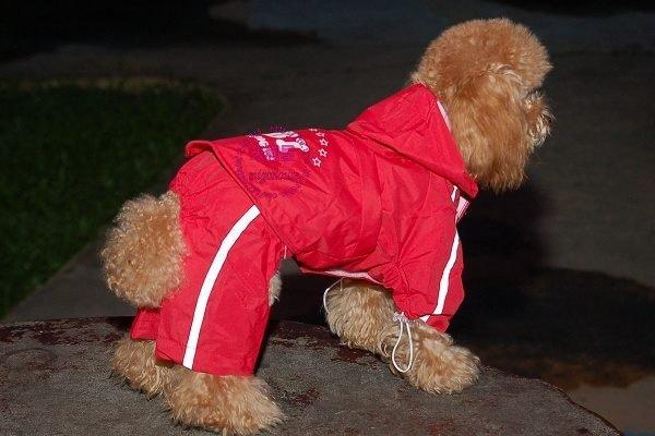 【米狗屋】日本peppets˙FBI兩件式四腳狗狗雨衣/風衣-紅色˙反光設計˙馬爾濟斯、紅貴賓