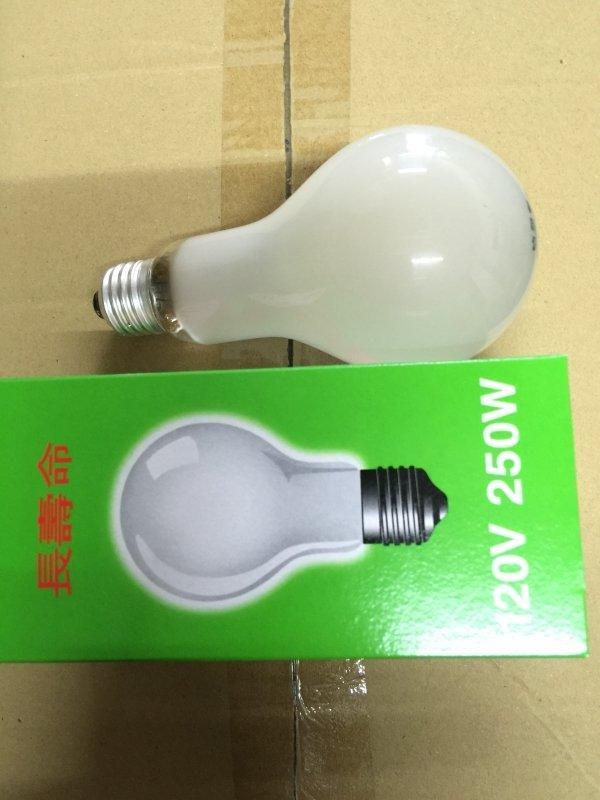 《LION光屋》110v 250w E27燈頭 傳統鎢絲燈泡 台灣製造