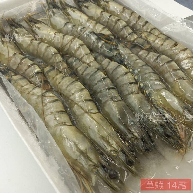 【海鮮7-11】活凍草蝦  一盒14隻蝦  300克+-10%  *肉質鮮甜彈牙。**每盒150元