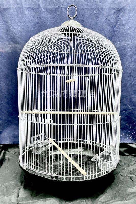 金瑞成鳥園->圓型中鳥籠L801/台灣製/適合太陽鳥、和尚、七草、月輪等中 