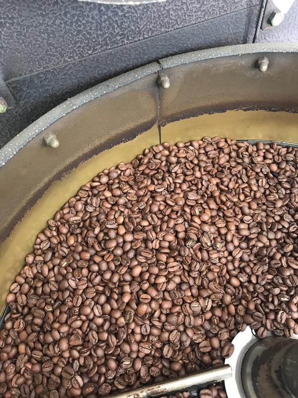 奇波咖啡 莊園單品 黑蜜處理 高山豆 哥斯大黎加 布蘭卡  寶藏莊園 黑蜜