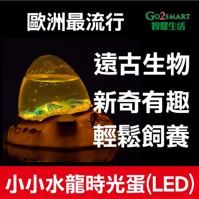 【Go2Smart智慧生活】小小水龍時光蛋 LED 辦公室 歐洲流行 新奇有趣 禮物 夜燈 裝飾 魚缸 創意迷你魚缸水族