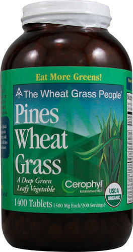 美國 Pines International 小麥草 (USDA 認證)1400 顆 Pines wheat grass