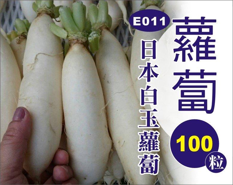 農葉屋E011日本白玉蘿蔔 種子
