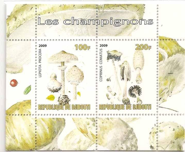 ★熊熊購物★020DJIBOUTI 吉布提郵票- 2009年 蘑菇郵票小全張(四)