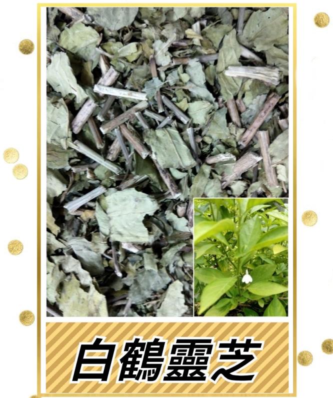 本土白鶴靈芝草(已裁切約4~8cm).白鶴靈芝茶