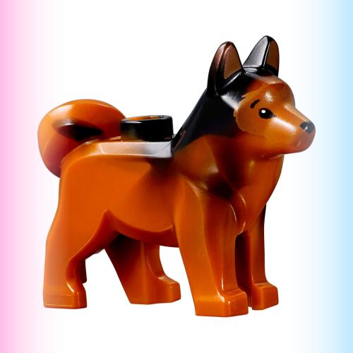LEGO 60355 75935 Jurassic 樂高 侏羅紀世界 動物 深橘 犬 狗 哈士奇 Husky Dog
