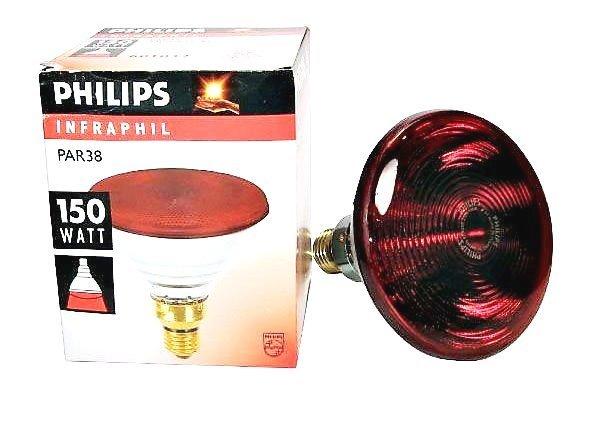 Philips 飛利浦 150W 175W  紅外線燈泡 A27 E27 PAR38 IR【高雄永興照明】