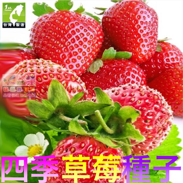 ㊣【我會發芽】草莓種子 四季草莓 洋莓 地莓 紅莓 水果種子 士多啤梨(約40粒/包)30元