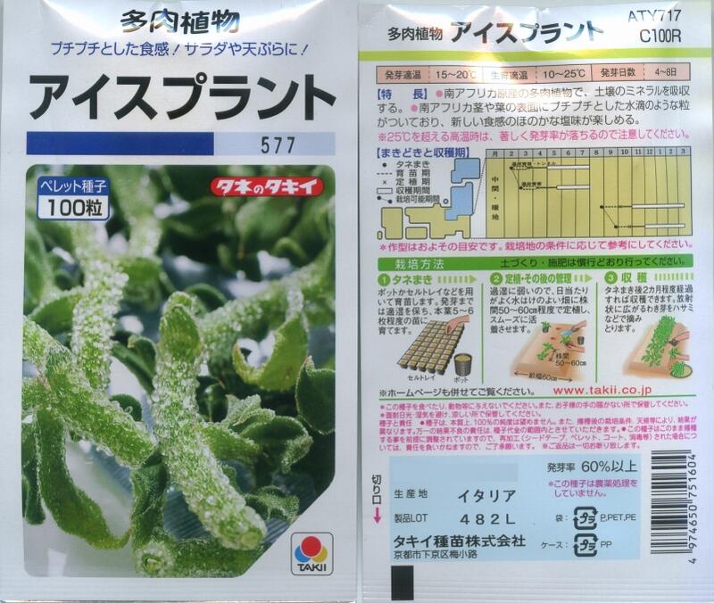 【花之鄉小舖】進口高級日本蔬菜種子-- 冰花-食用冰晶草（Ice Plant）