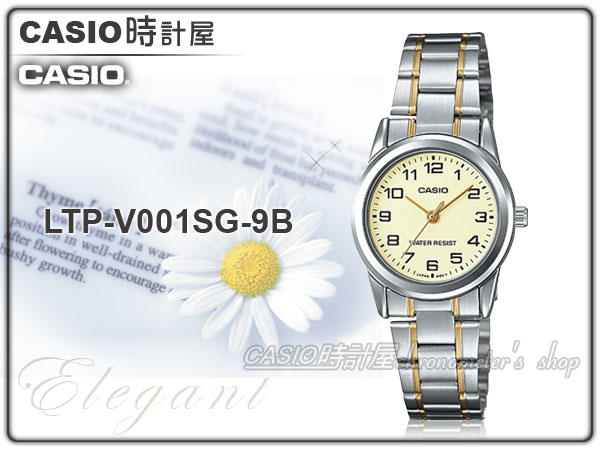 CASIO 卡西歐 手錶專賣店 時計屋 LTP-V001SG-9B 指針女錶 LTP-V001SG