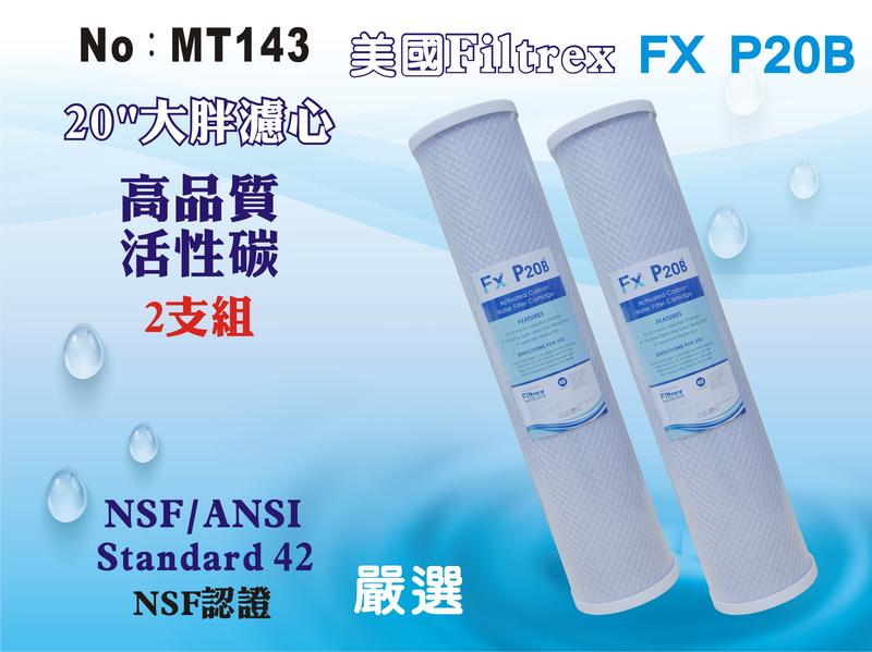 【龍門淨水】美國Filtrex品牌 Fx 20吋大胖 NSF-CTO活性炭濾心 超值價 淨水器 2支組(MT143)