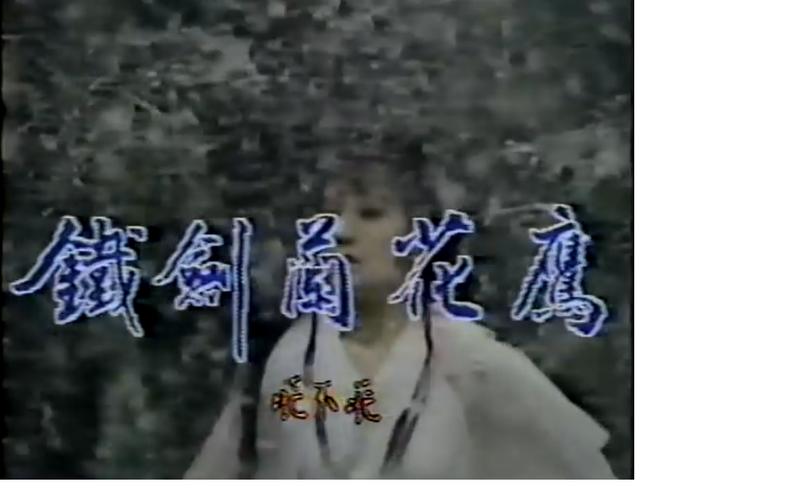 1984 華視 鐵劍蘭花鷹DVD 楊光友 張復建 傅娟 湯志偉主演 14片裝dvd 