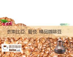 🧡衣索比亞 藝伎 精品咖啡豆【興田鮮烘咖啡豆】