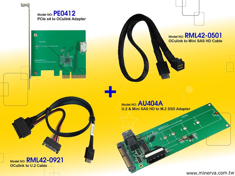 PCIe x4 轉接卡+ OCulink線+ U.2 & Mini SAS HD to M.2 NVMe轉接卡