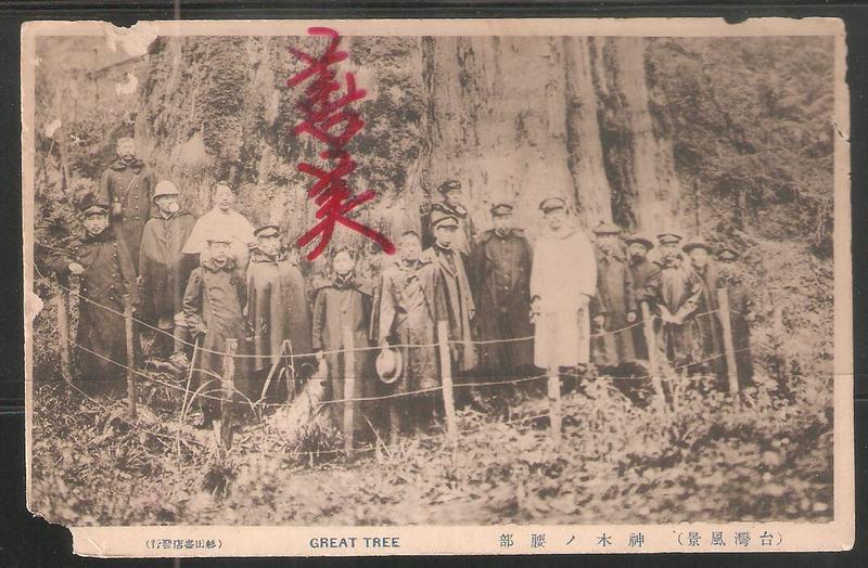 [善美  TPC-573] 日治明信片  台灣阿里山神木前的日軍軍官