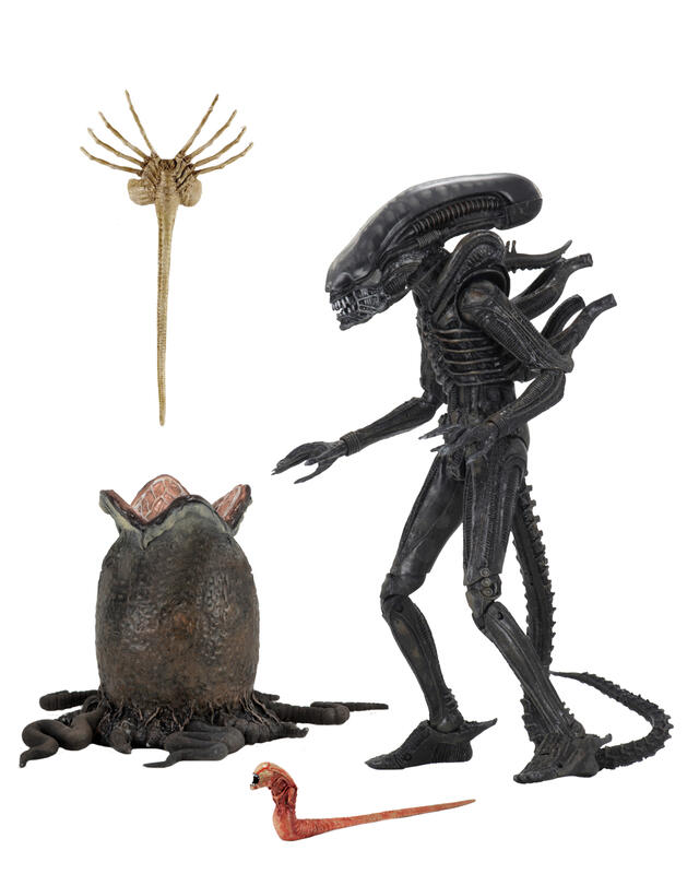 【可樂心】(預購)NECA Alien Predator  終極戰士 / 異形 40周年紀念款 18cm 現貨